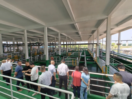 威客电竞·(中国)VKGAME官网入口