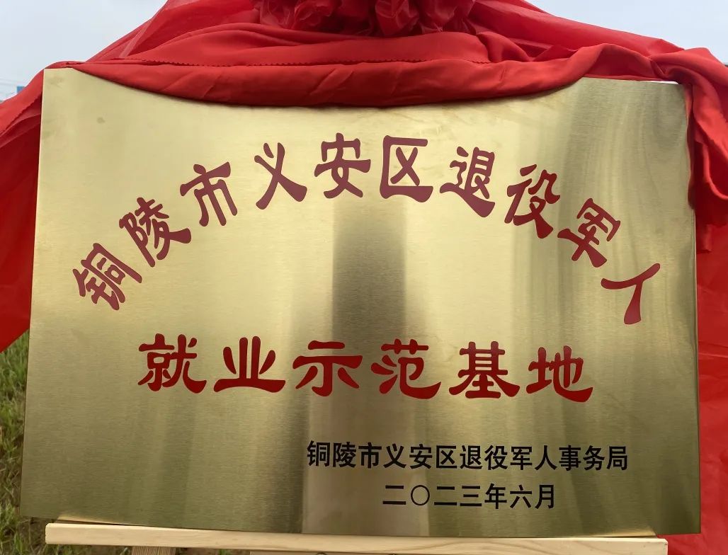 威客电竞·(中国)VKGAME官网入口